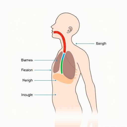 Diagram illustrating diaphragmatic breathing technique